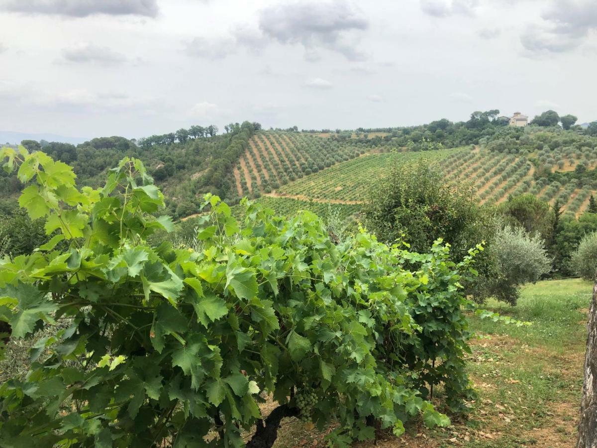 Alojamento de Acomodação e Pequeno-almoço La Valle Di Anna *