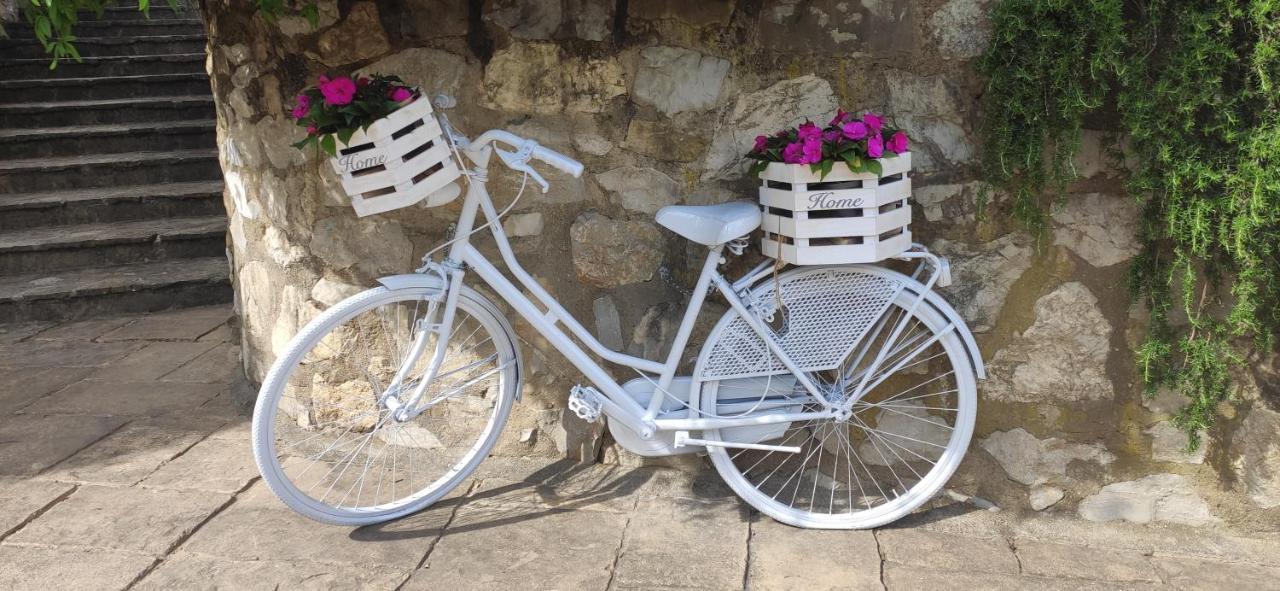 Bed & Breakfast La Valle Di Anna